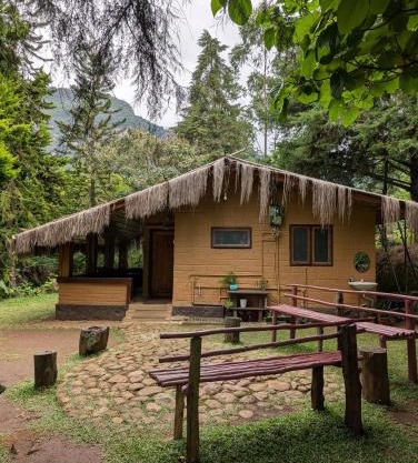 Escape Natural Farm Stay - Woodhouse