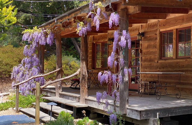 Lux Cabin Retreat in Nature - Close to Avila Beach