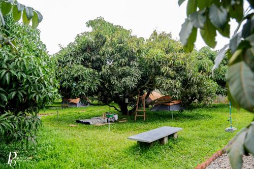 Escape to Nature at Mango Trails by Green Getaways