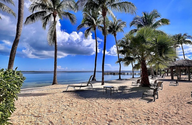 Hermoso y asequible condominio.