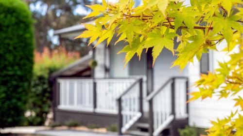 Escape To Tranquil Haven
