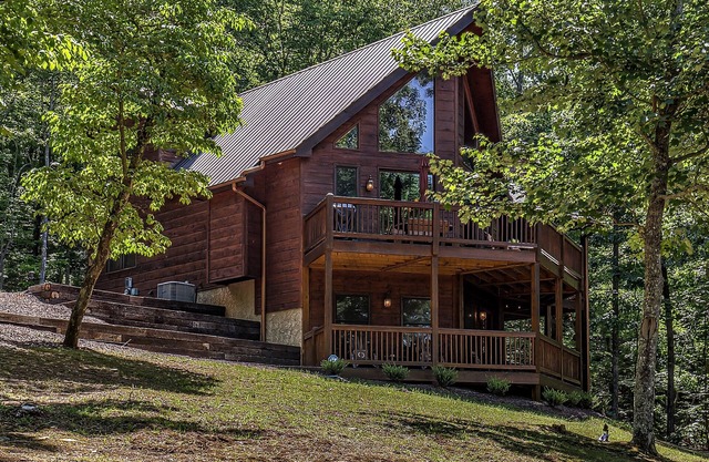 Escape to your cozy Mineral Bluff cabin, just a hop away from Blue Ridge