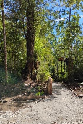 Espacio bosque la quemada