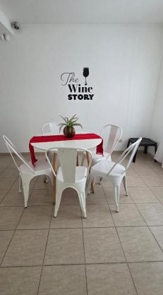Espectacular Duplex wine story Tupungato