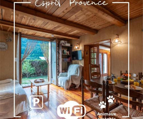 Esprit Provence - Jardin - Parking