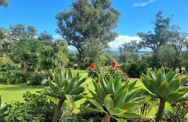 Estuary water views 4bedroom 2 Bathroom home with pool Australind / Bunbury WA