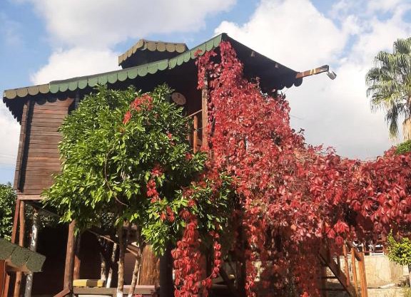 ESVİDA ARZUM BUNGALOW