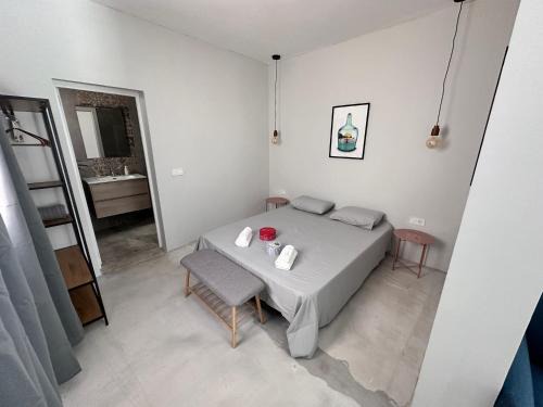 Euphorbia Suites