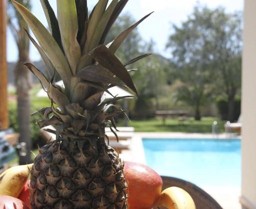 Eve Pissouri Rozaki Villa