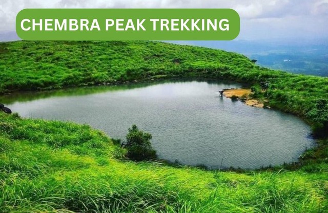 Evergreen Wayanad Trekking