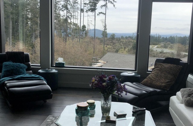 Every room has a Mountain View/ 13 ft ceilings/high end appliances