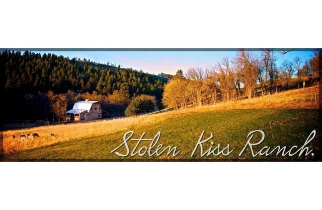 Black Hills Equestrian Resort, cerca de Deadwood, Spearfish, Sturgis y Mt Rushmore