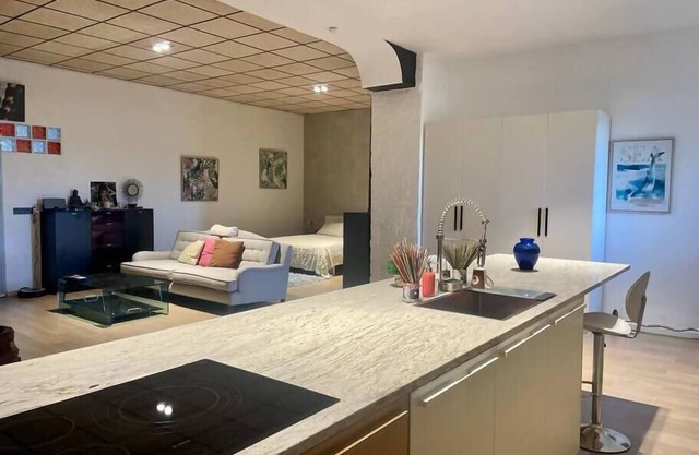 Exclusivo Loft en Zaragoza-5