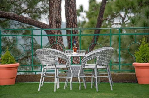 Exotic Stays I The Woods View I Memorable I Open Air Lawn & Roof top I Bonfire I Nature Walk I Serviced Apartments I Kasauli