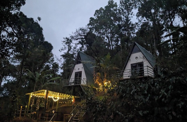 Experience Serenity at Coorgology estate stay in Lush Coffee Plantations