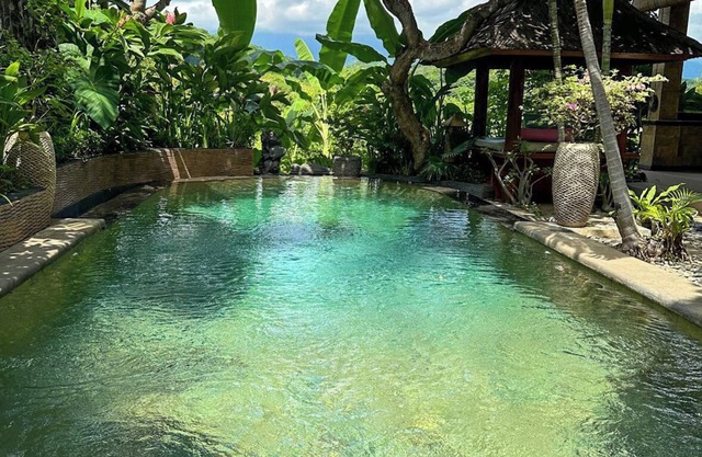 Experimenta la vida de pueblo puro en las colinas del norte de Bali