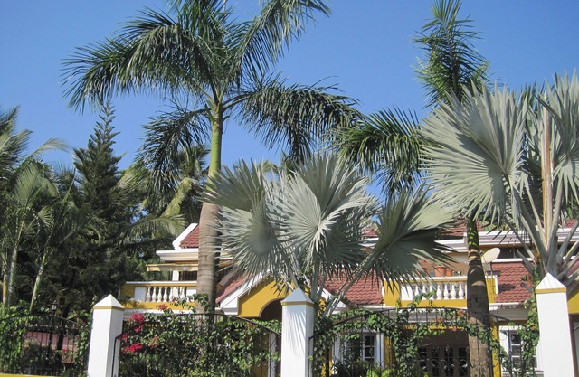 La experiencia de los revitalizantes Goa - Boutique Villa 600 metros de la playa