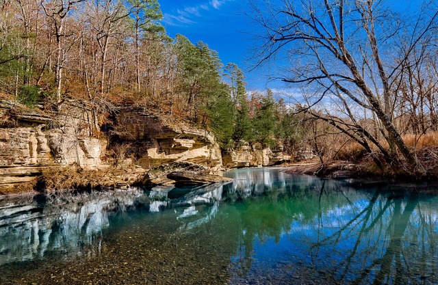 Explore North West Arkansas con todas las comodidades del hogar