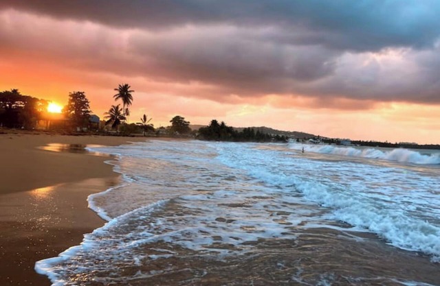 #F Tropical Rainforest Retreat Ocean View w/hottub