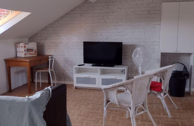 F3 centre ville de Gien