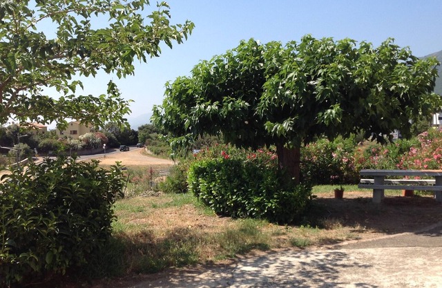 F3 villa piso Furiani
