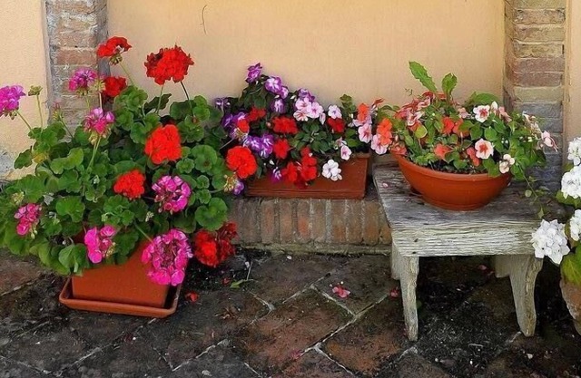 Fabriano ...... vacaciones entre cultura y naturaleza
