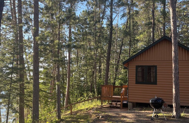 Fabulous lakeside cabin with free dock space! Excellent swimming beach