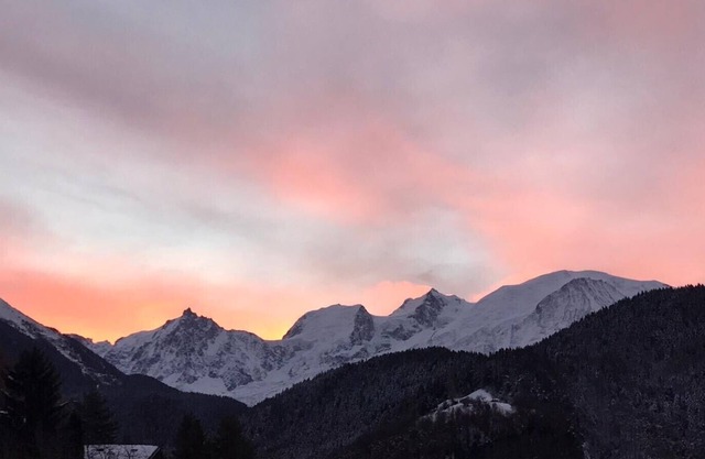 Face au Mont Blanc Appartement 2 personnes dans Chalet