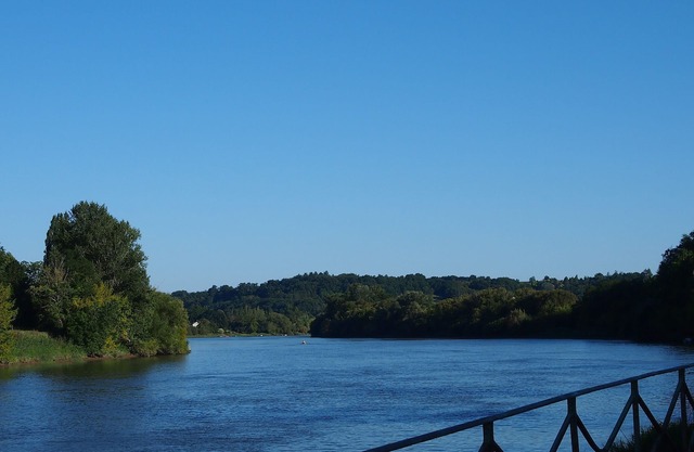 Frente a Saint-Emilion, en un río, los viñedos de Burdeos