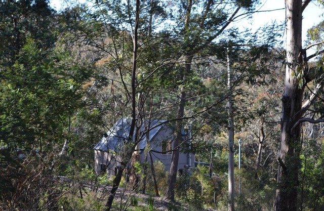 Hada Dell - retiro pacífico de arbustos