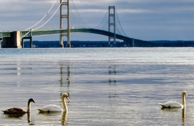Fall color dates booking now. Lots of space for Upper Peninsula getaway.
