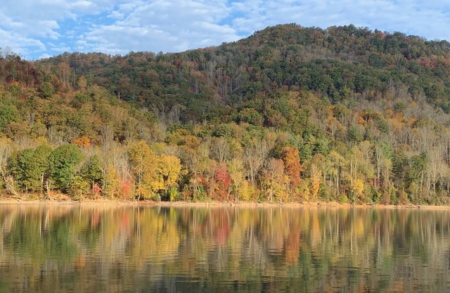 Spend Your Summer Days on Watauga Lake at Bear Cub Cabin