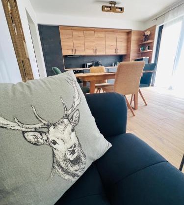 Family 2 bedroom Ski&Bike Apartment with Terrase