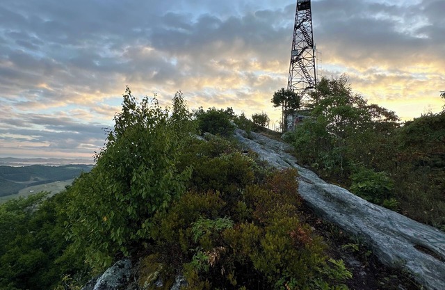 Free Wi-Fi and parking Fire pit Hike bike and kayak! The Cabin in Disguise
