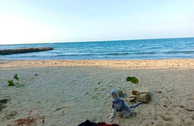 Cabaña familiar en coveñas a 100 metros de la playa