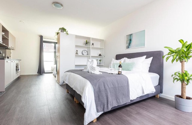 Family executive Studio with Balcony open Delft Utopia Flora 20F