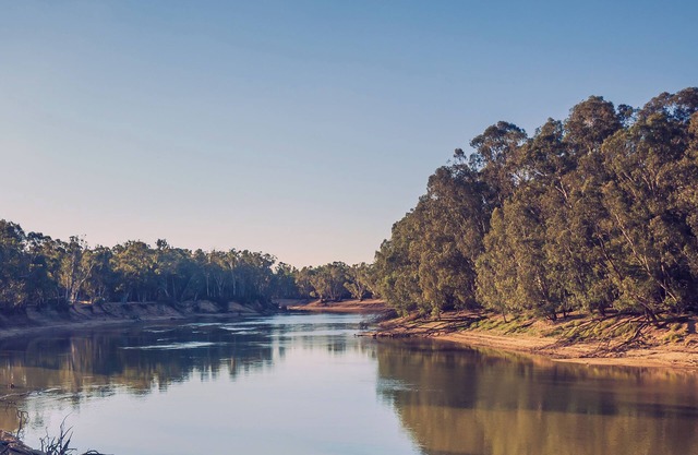 Family friendly accommodation up among the gum trees, kookaburras and kangaroos