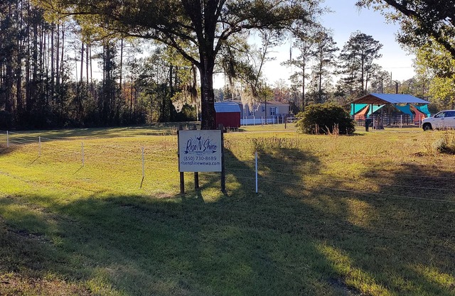 Family-friendly animal farm and homesteading haven. Close to the Gulf Beaches.