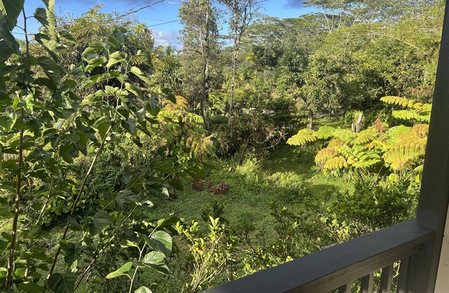 Family friendly, centrally located 2lvl home with epic furniture and fruit trees