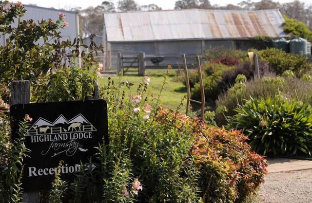 Highland Lodge Farmstay