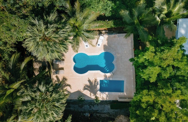 Family-Friendly Jungle Bungalow at Mística Natural, Just Minutes to Best Beaches