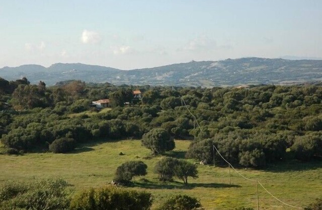 Aptas para el medio ambiente, 3. Explorar 5 ha