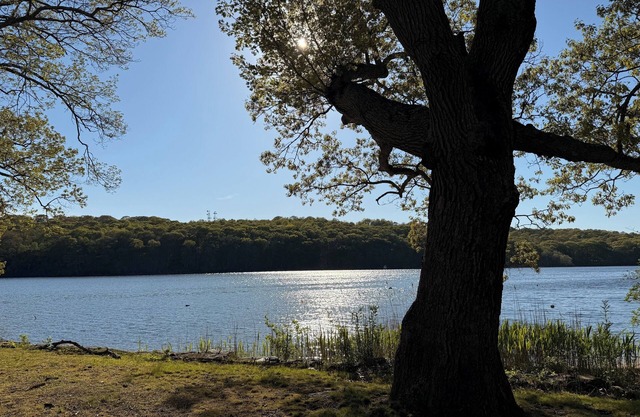 Family friendly WATERFRONT home with private beach.