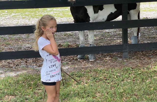 DISNEY FAMILY FUN FARM CERCA DEL AEROPUERTO DE MELBOURNE