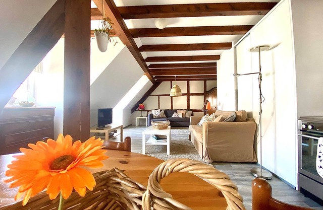 Encantadora casa de campo (CHARLOTTE) - en el corazón de la viña alsaciana con el viticultor