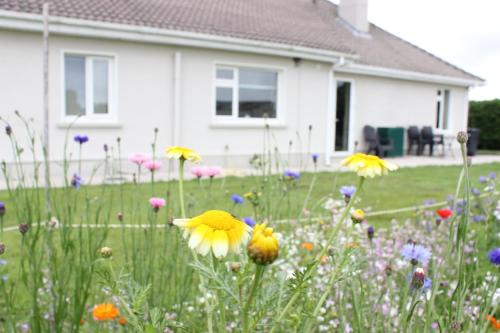 Family Home, 20 mins from Youghal Beach