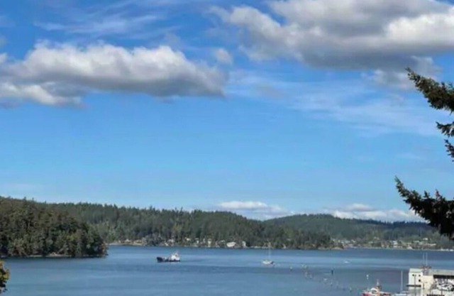 Family & Pet Friendly - Ocean Views & Forest Backyard