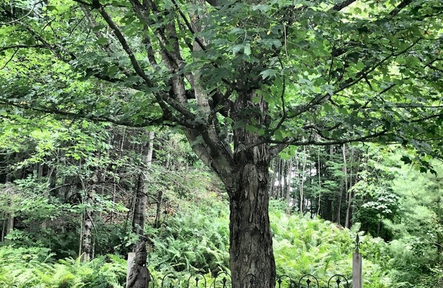 Family Summer House in the ❤️ of the Eastern Townships