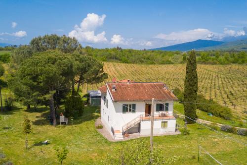 Family Tuscan Home among the vineyard - Happy Rentals