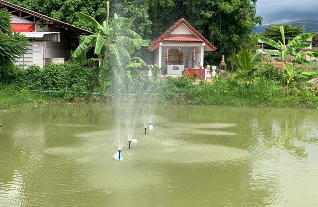 Family Vacation Chiangrai